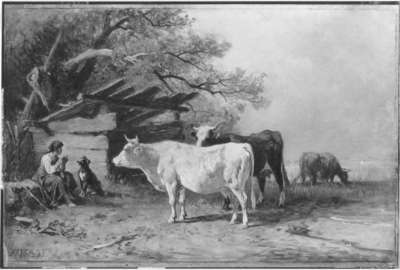 Kühe am Starnberger See