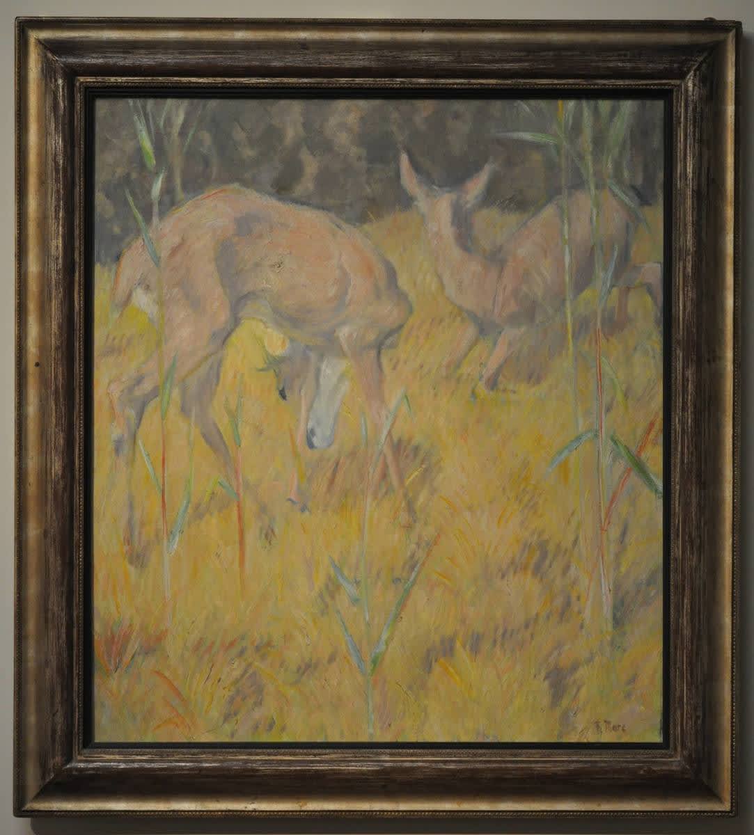 Rehe im Schilf