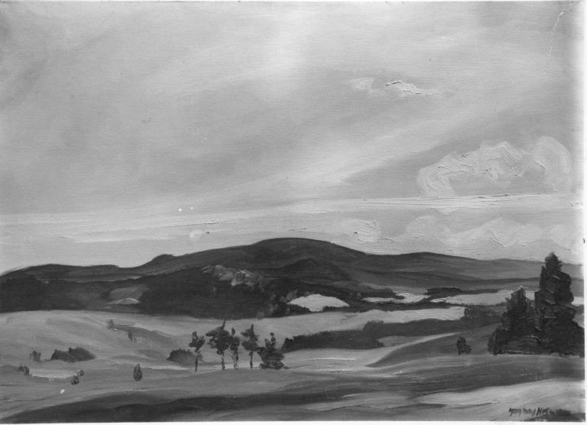 Aufziehender Sturm im Fichtelgebirge