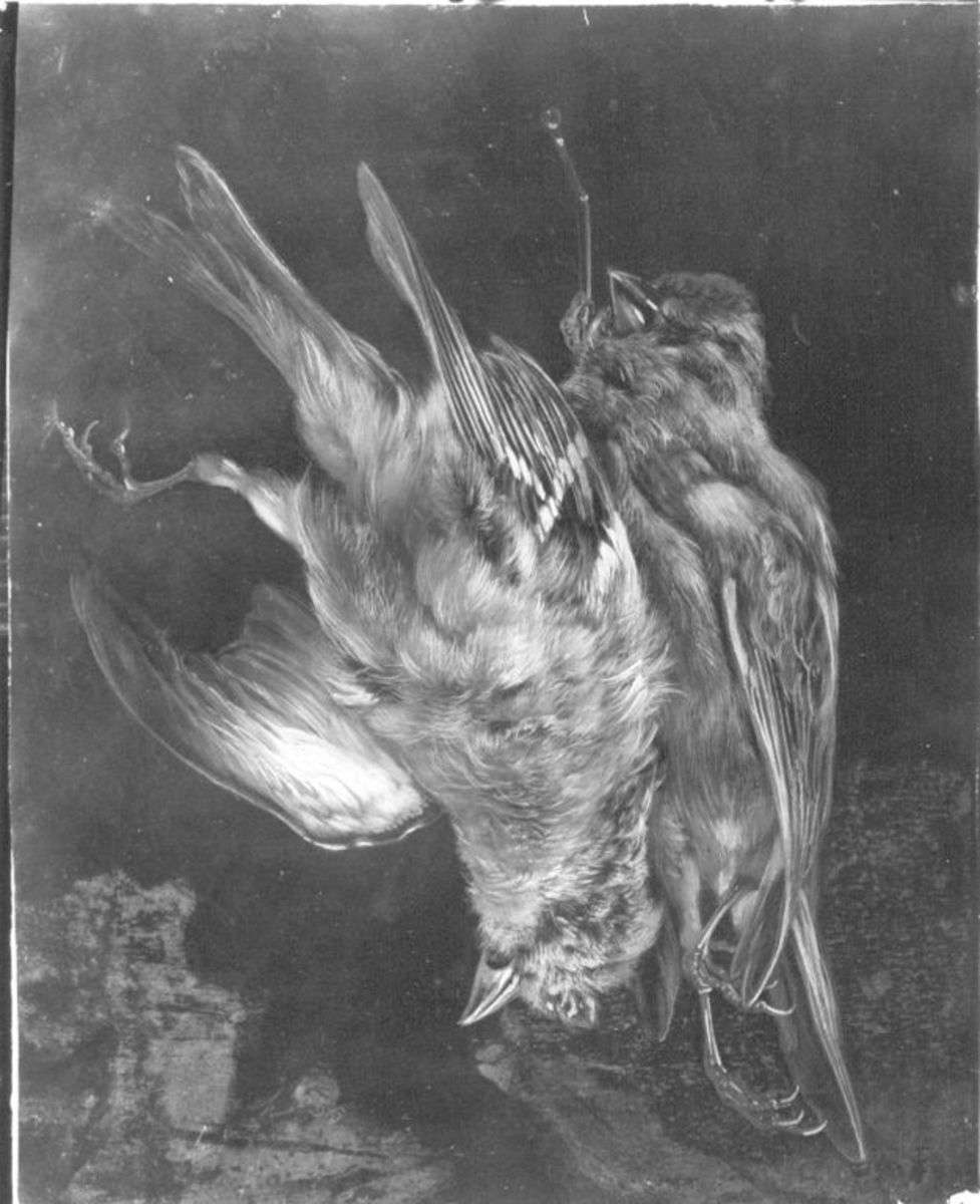 Stillleben mit toten Vögeln