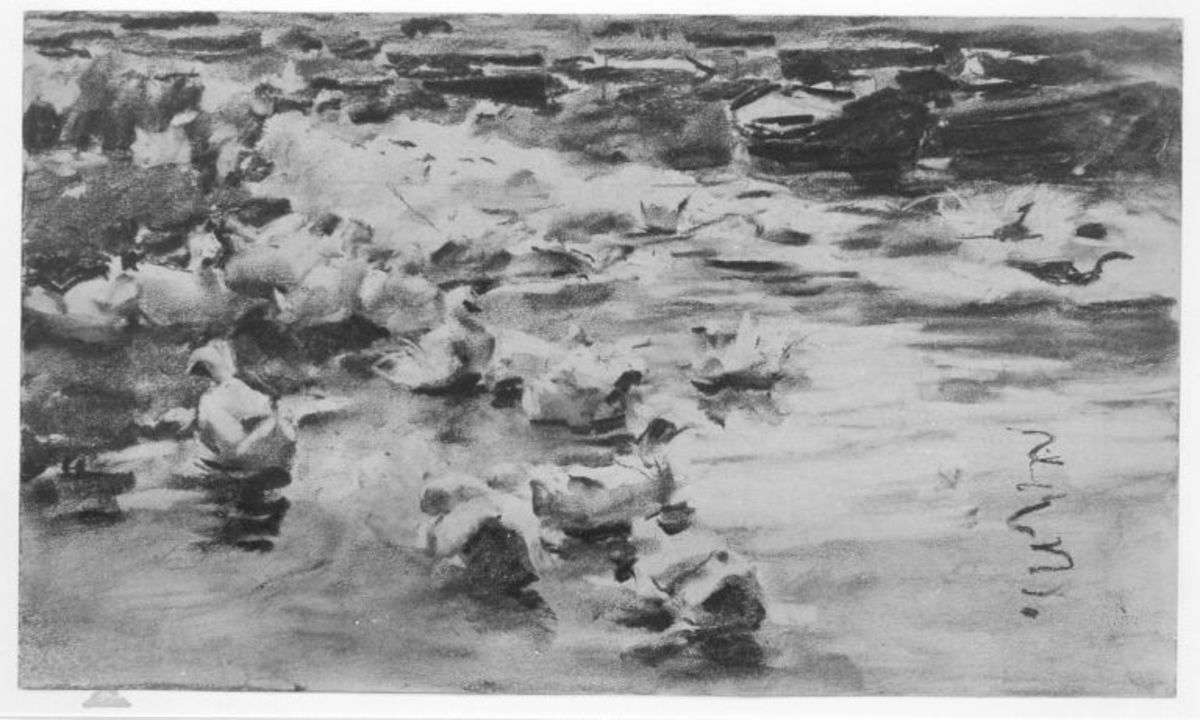 Enten am Wasser