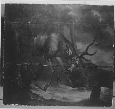 Ein Kümmerer (Hirsch)