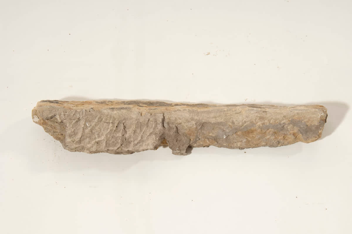 Künstlerbalustrade der Alten Pinakothek: Fragment einer Figur
