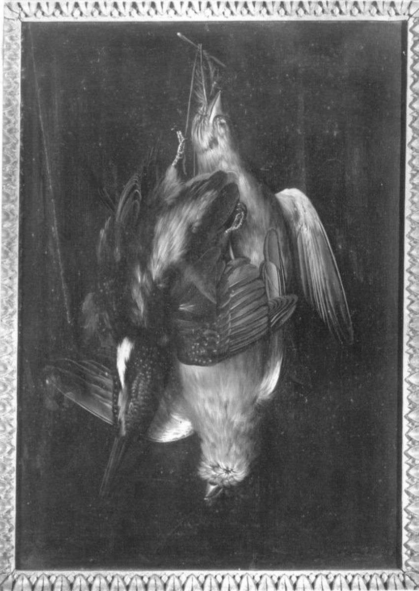 Tote Vögel