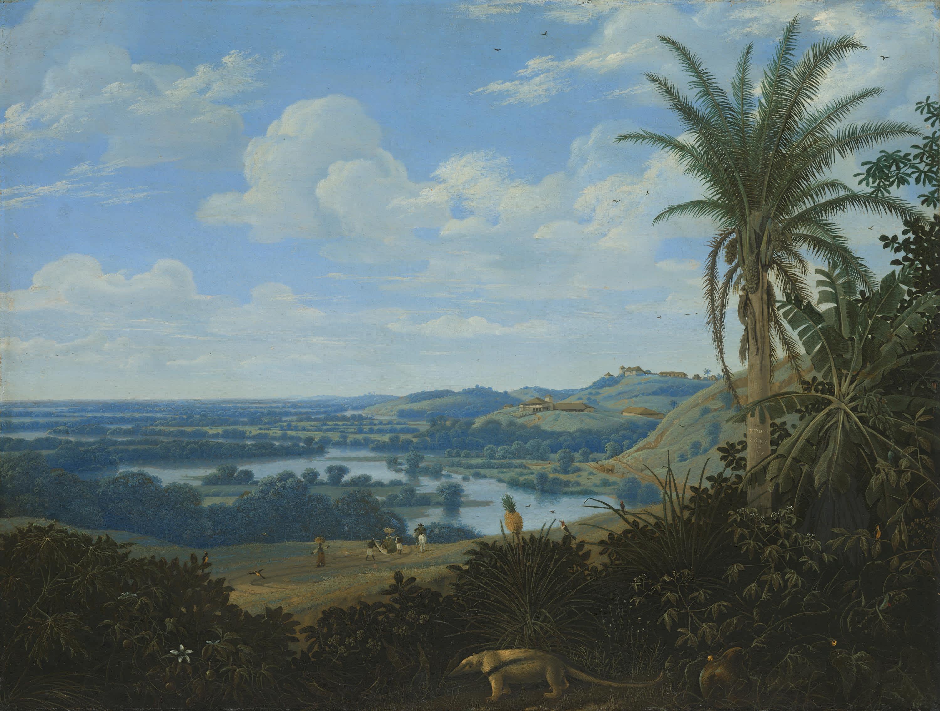 Brasilianische Landschaft mit Ameisenbär