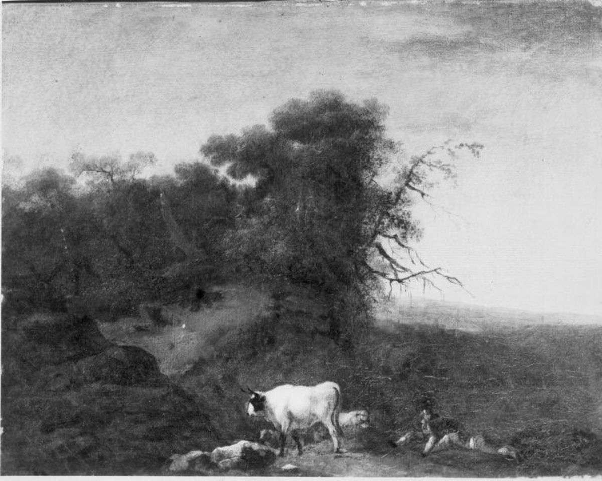 Landschaft