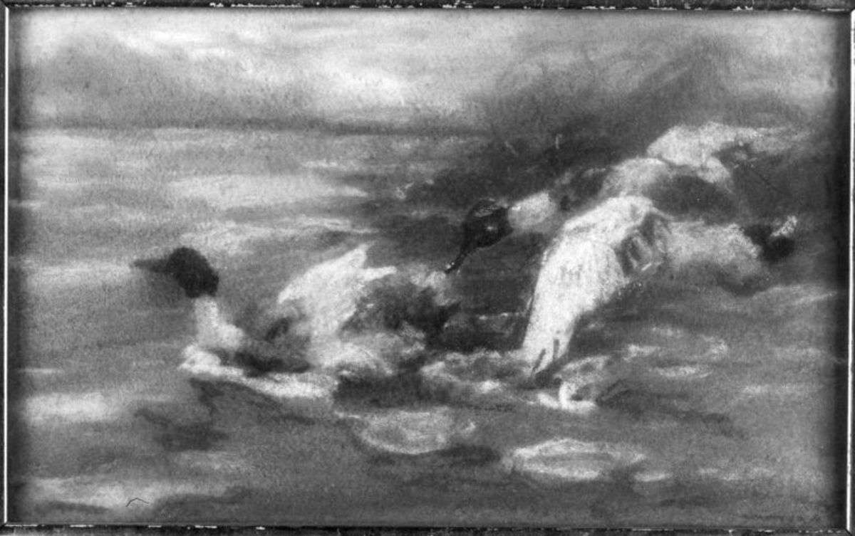 Enten fliegend, grüne Stimmung