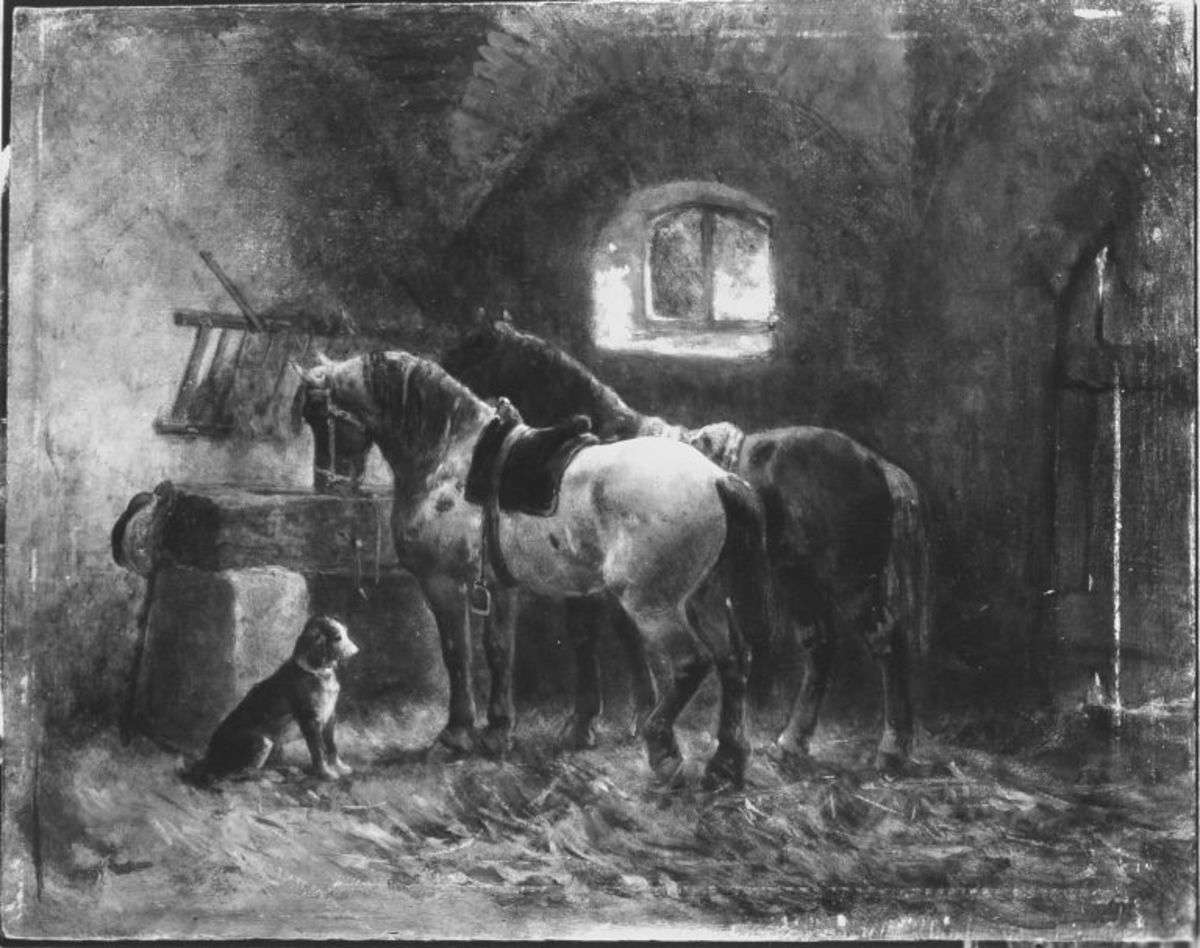 Inneres eines Pferdestalles