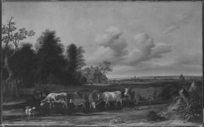 Landschaft