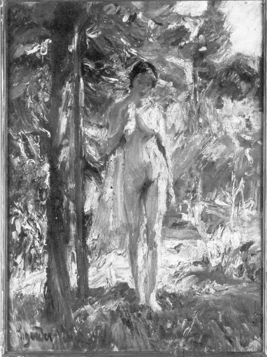 Weiblicher Akt in Landschaft