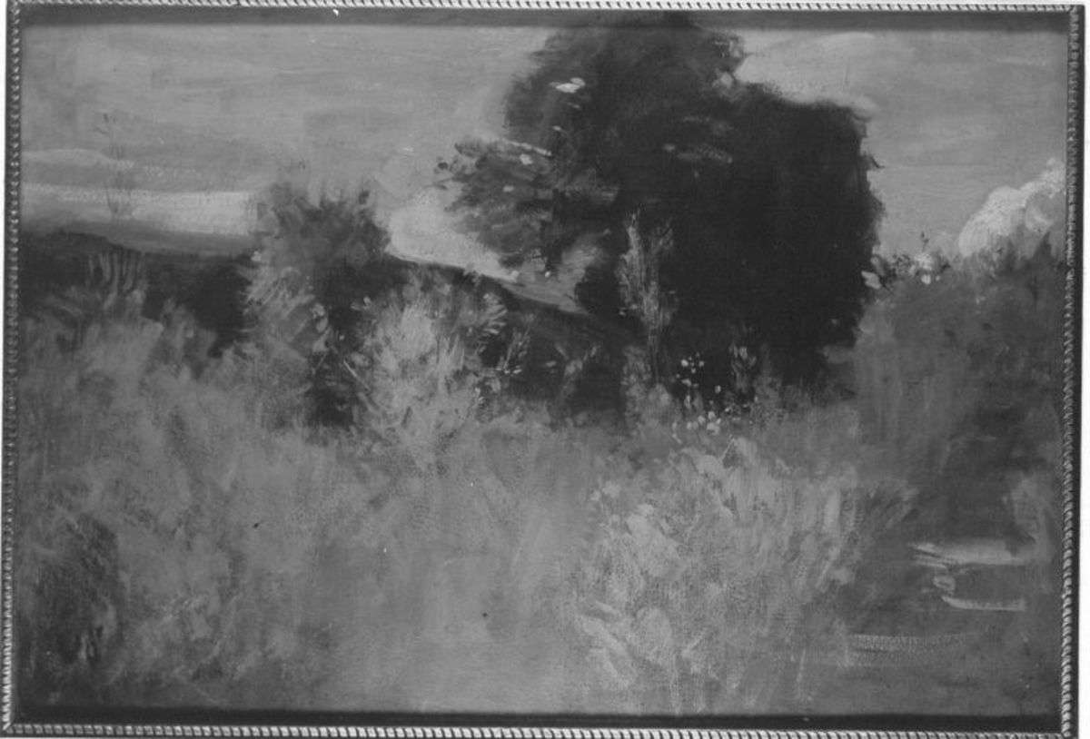 Wiesenlandschaft