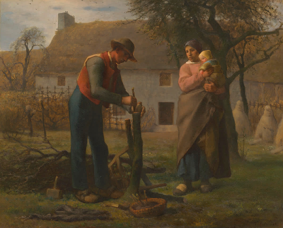 Bauer beim Pfropfen eines Baumes