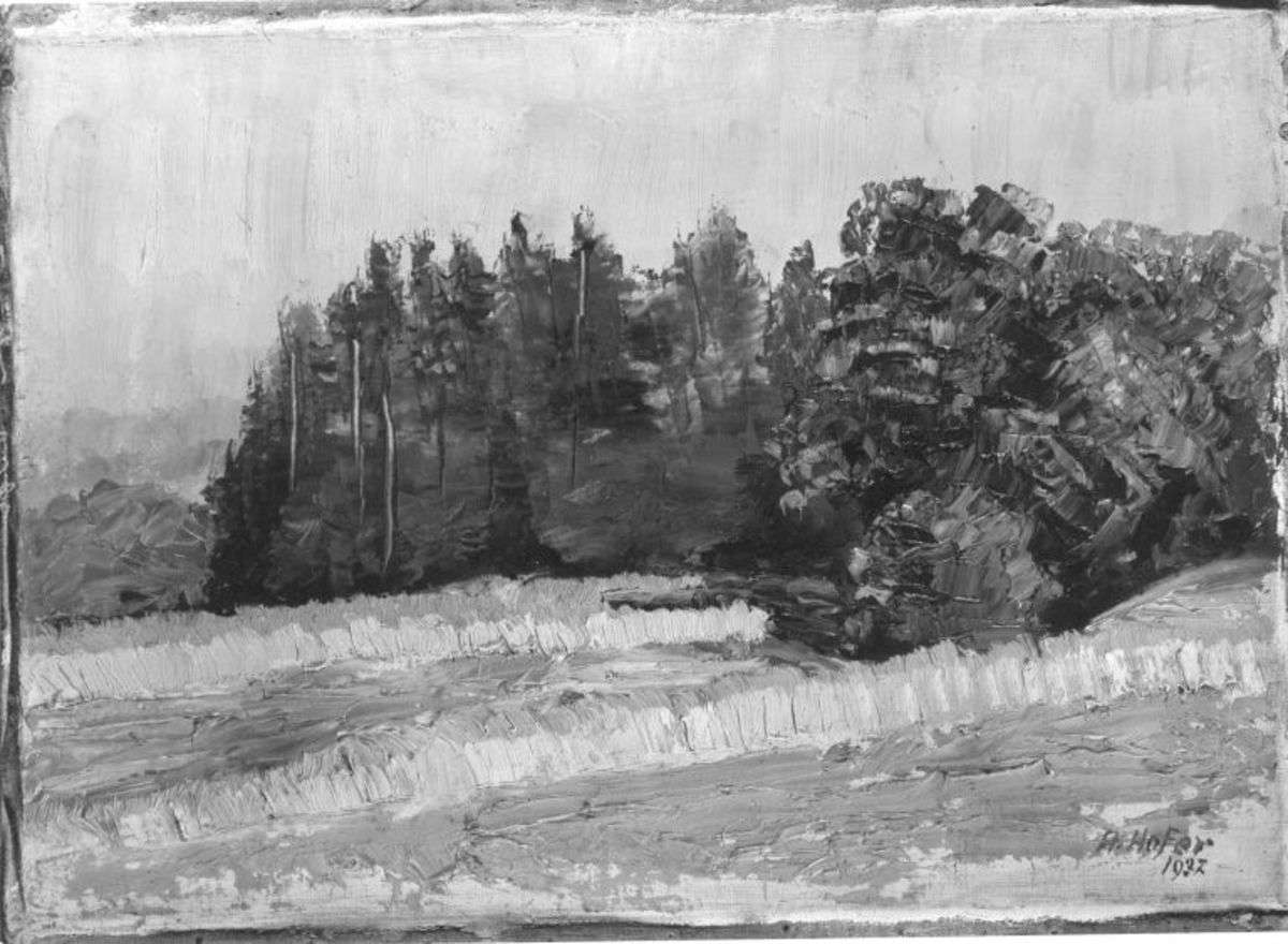 Waldmotiv bei Wessobrunn