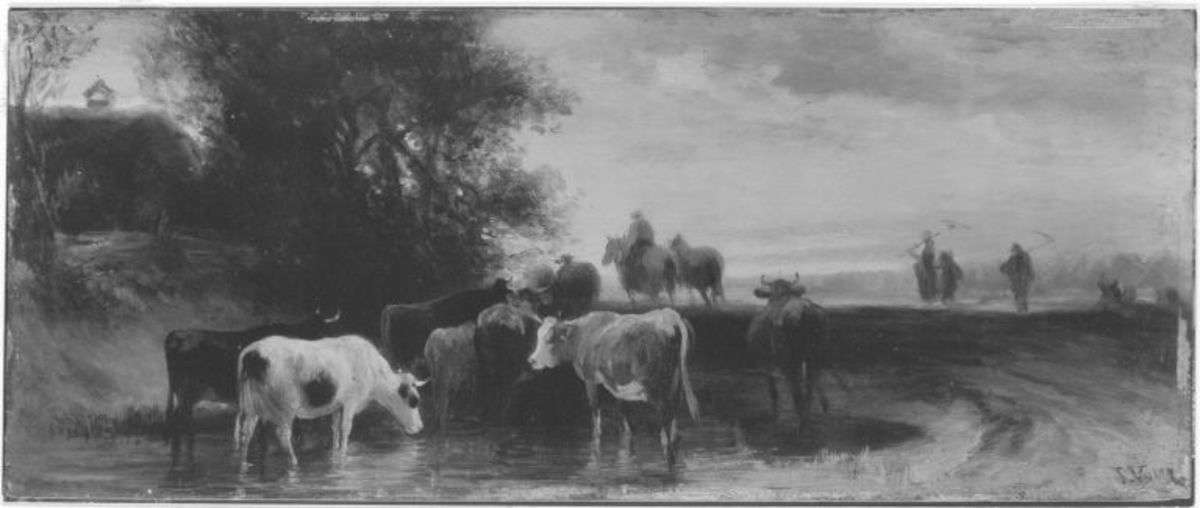 Kühe an der Tränke