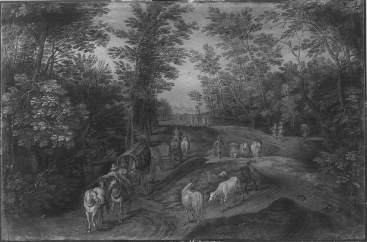 Waldlandschaft
