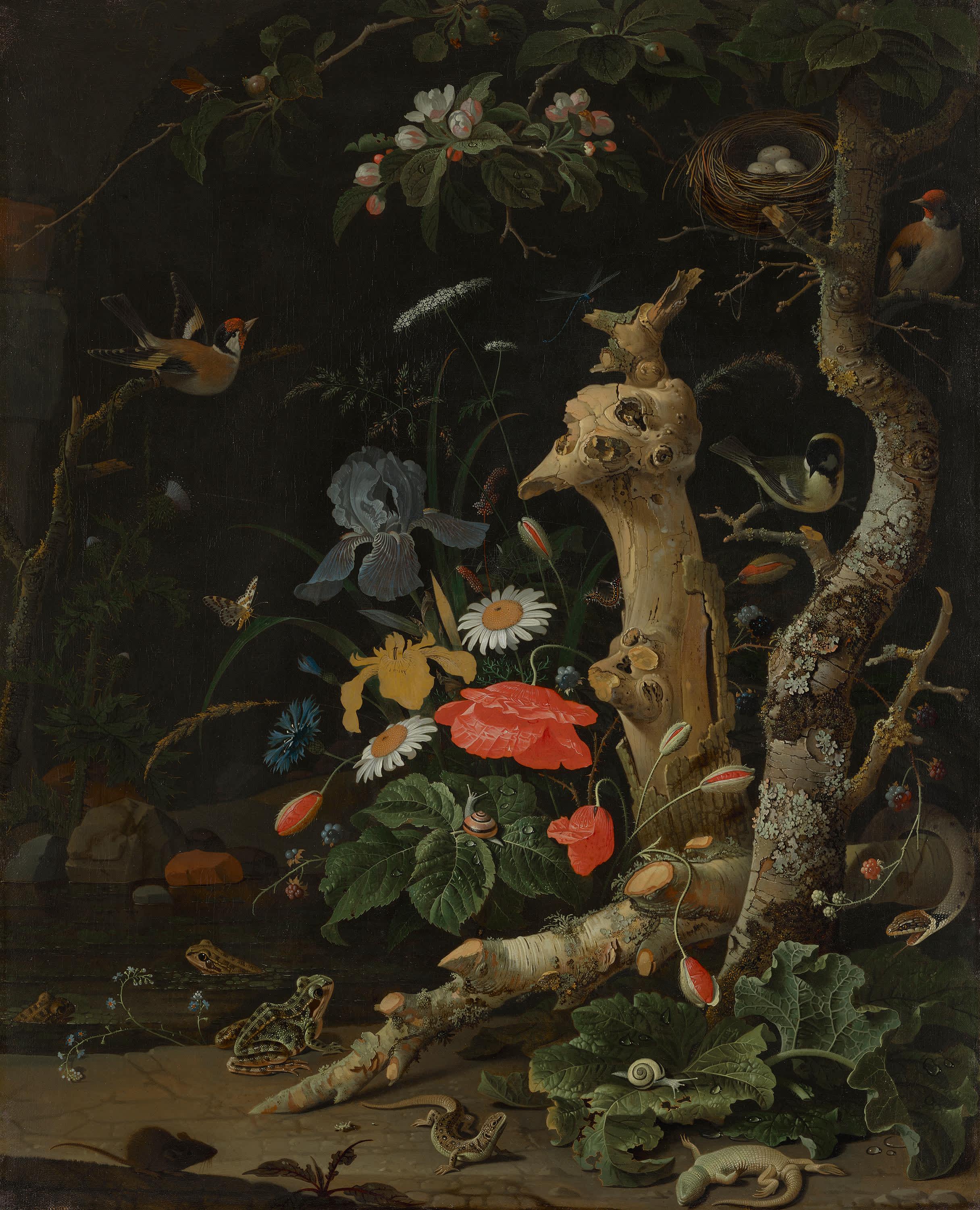 Feldblumen und Vögel