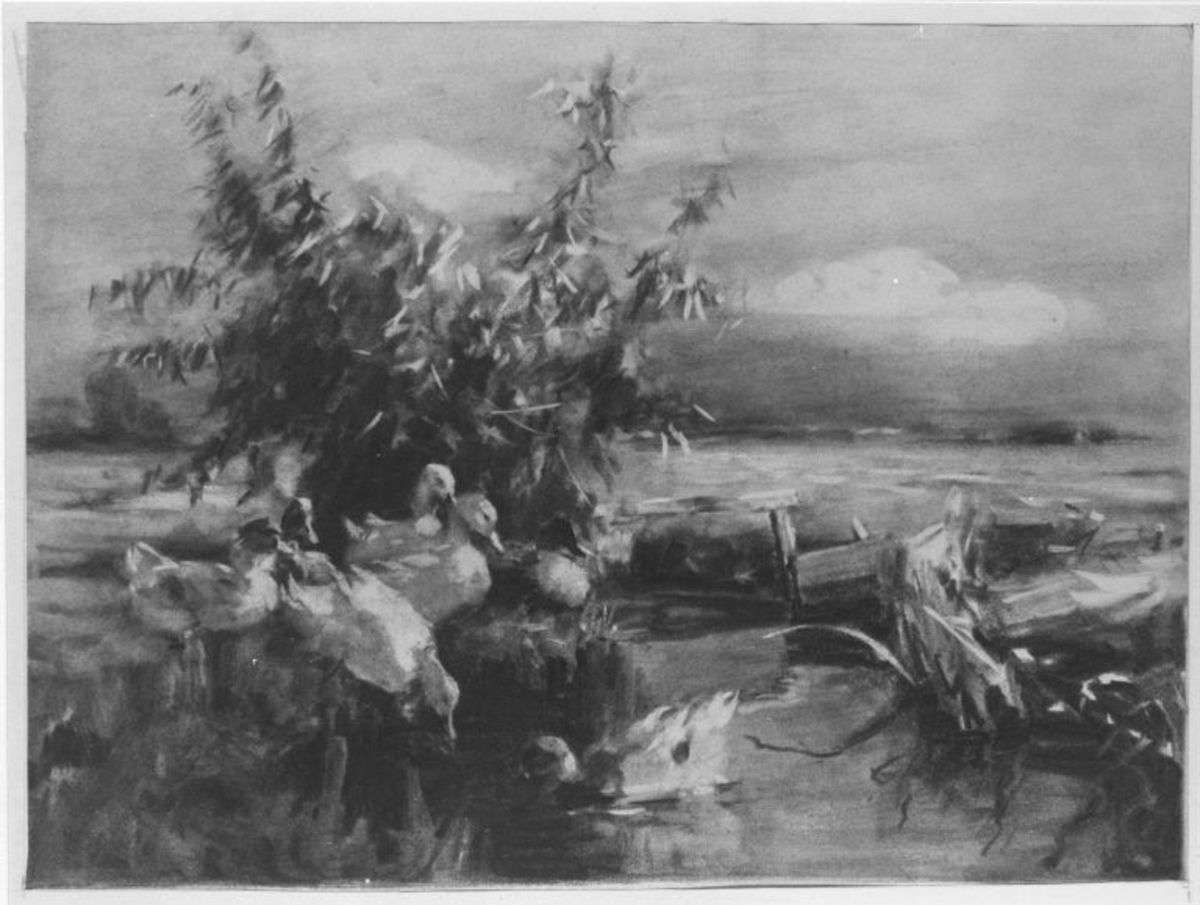 Enten vor Gebüsch am Wasser