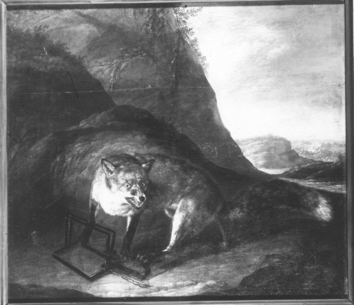 Ein Fuchs in Schlageisen