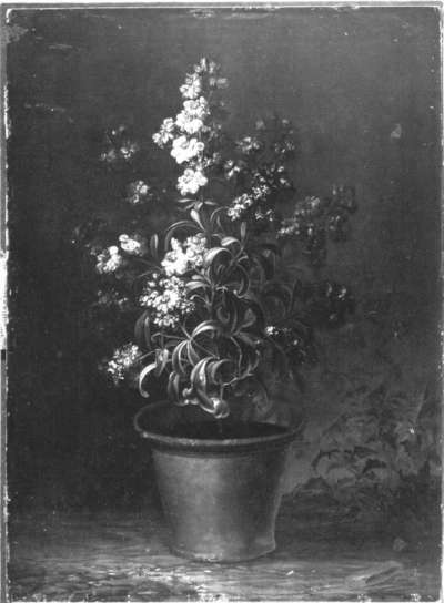 Blumenstück (Rote Levkojen)