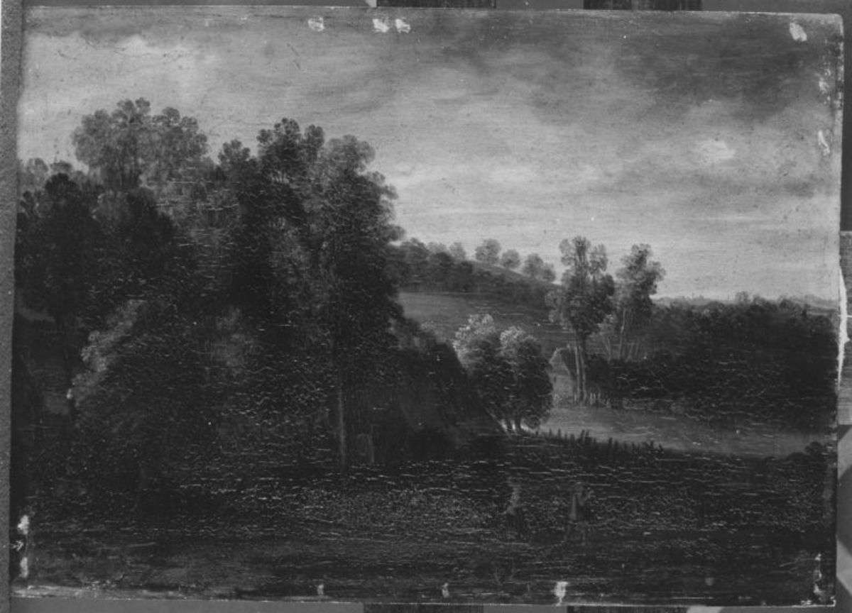 Landschaft