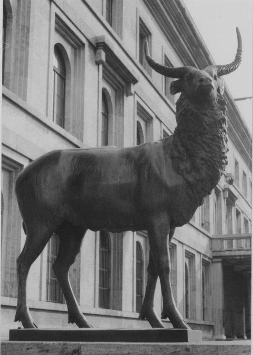 Wasserbock