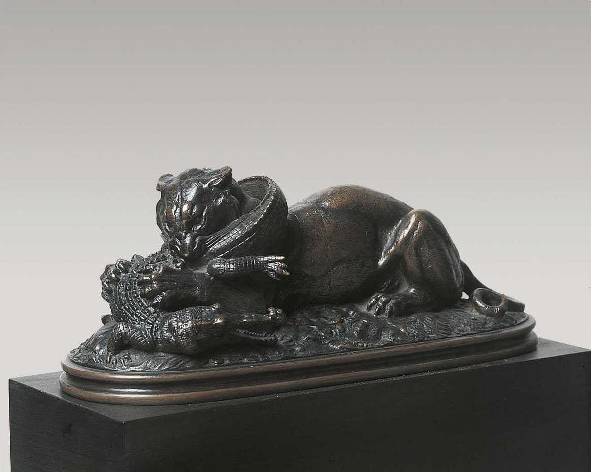 Tiger, ein Krokodil zerfleischend