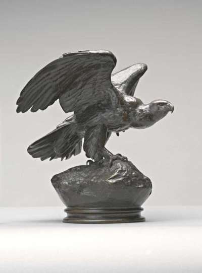 Adler, die Schwingen breitend