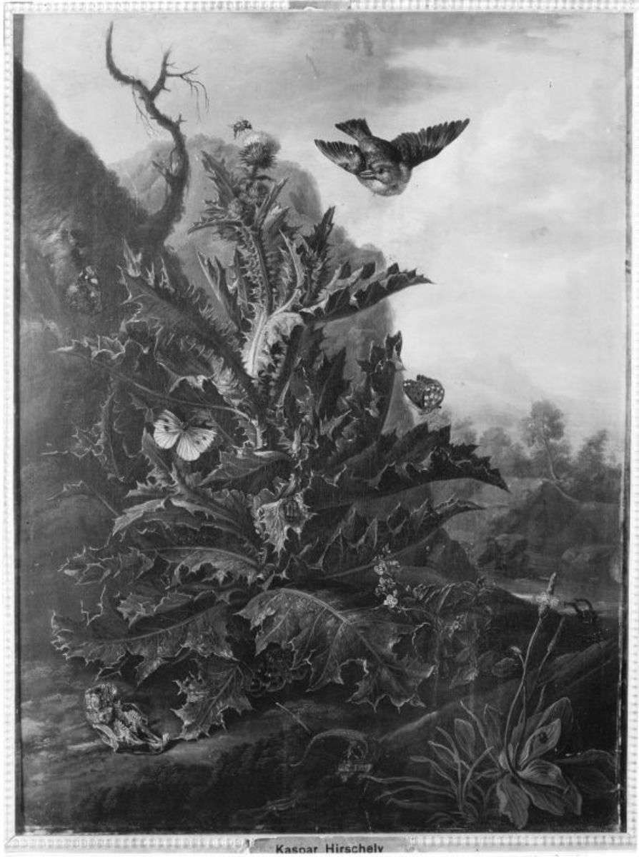 Stillleben mit Distel und Tieren