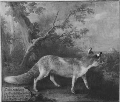 Fuchs
