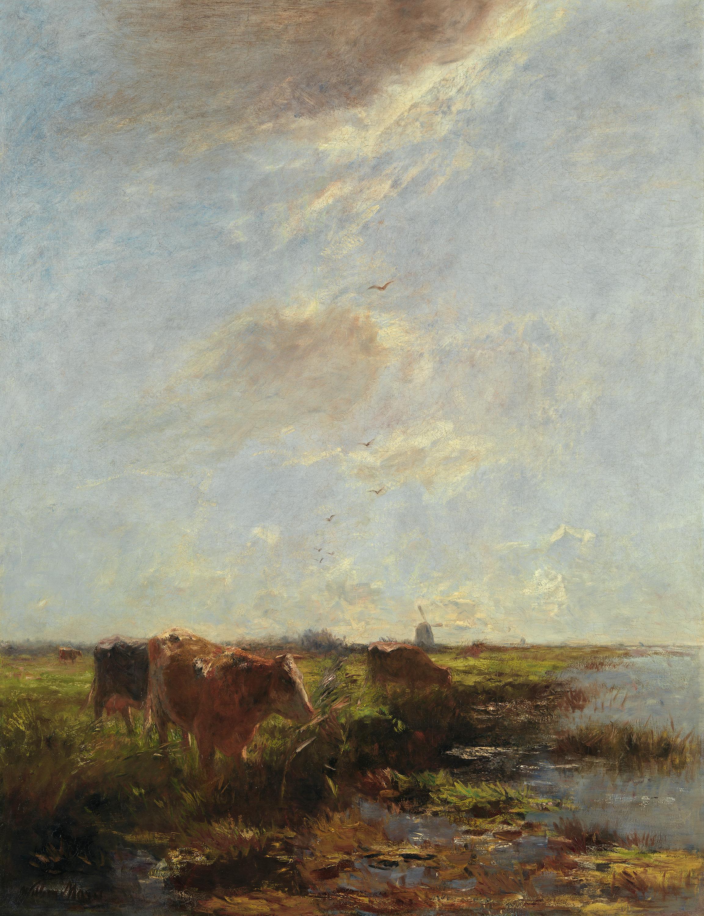 Polderlandschaft mit Kühen (Sommertag)