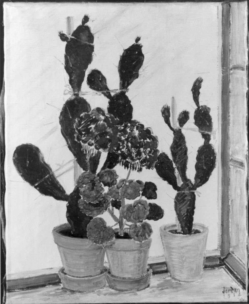 Kakteen und Geranien