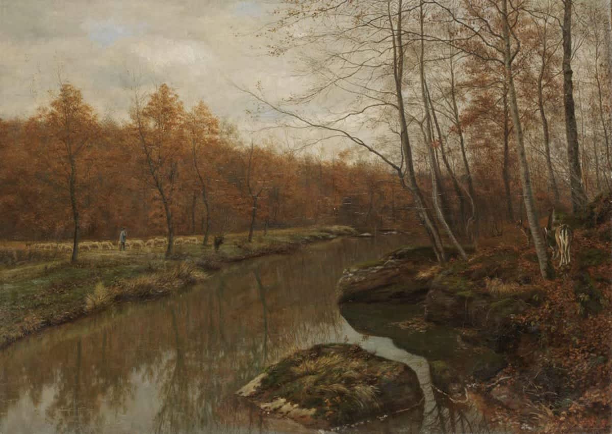 Waldbach im Spätherbst