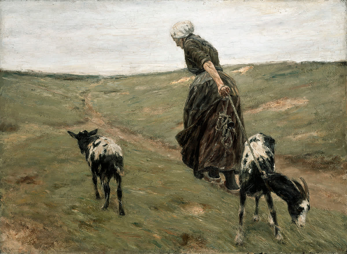 Frau mit Geißen in den Dünen