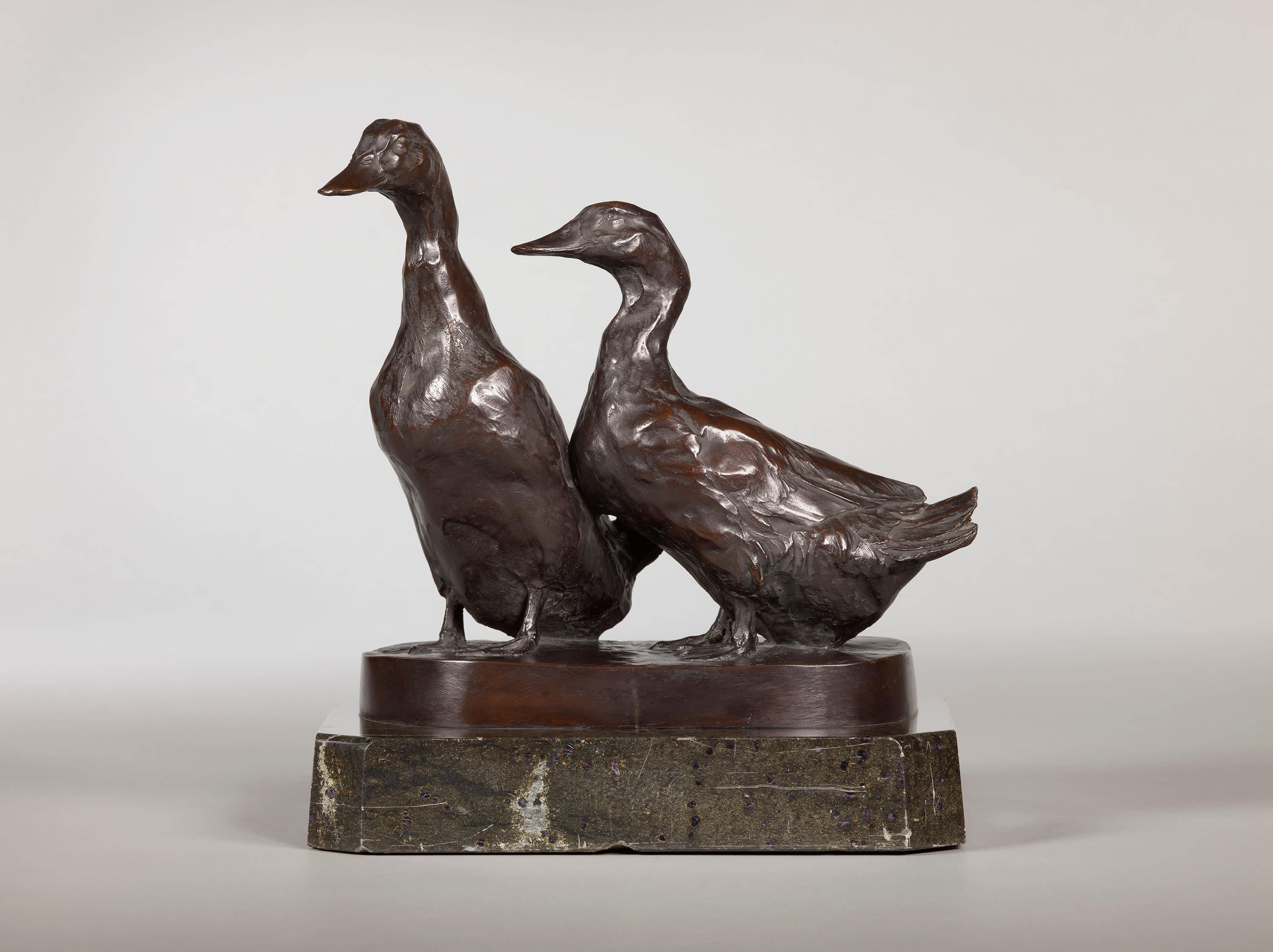 Enten