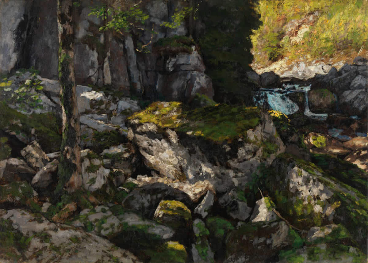 Felsige Waldlandschaft