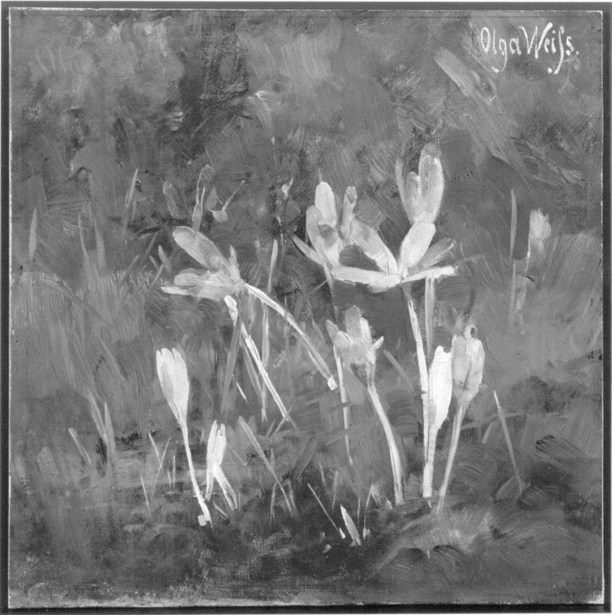 Blumenstillleben (Herbstzeitlose)