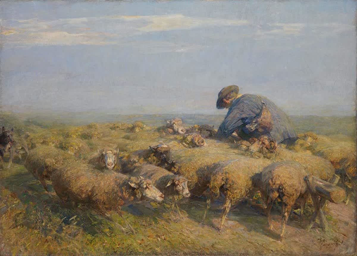 Die Schafherde