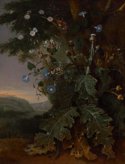 Waldbodenstillleben mit Distel und Eidechse vor südlicher Landschaft