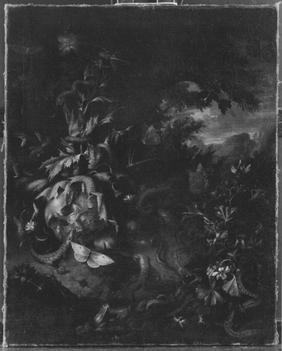 Stillleben-Vanitas