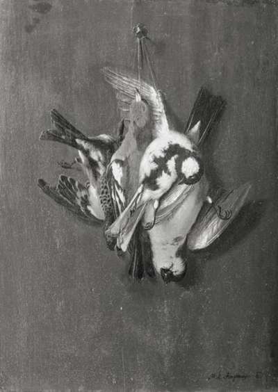 Stillleben mit drei toten Vögeln