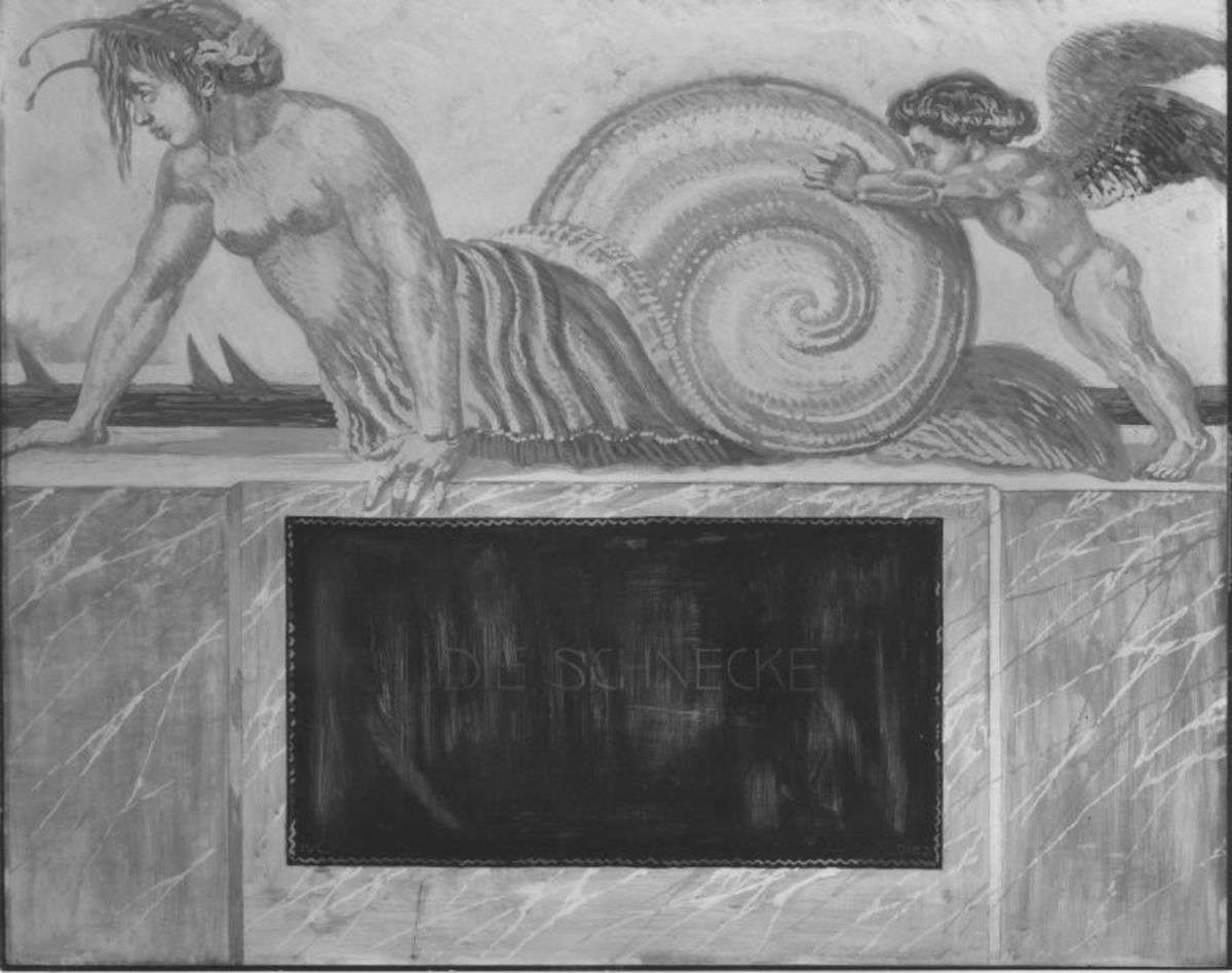 Die Schnecke