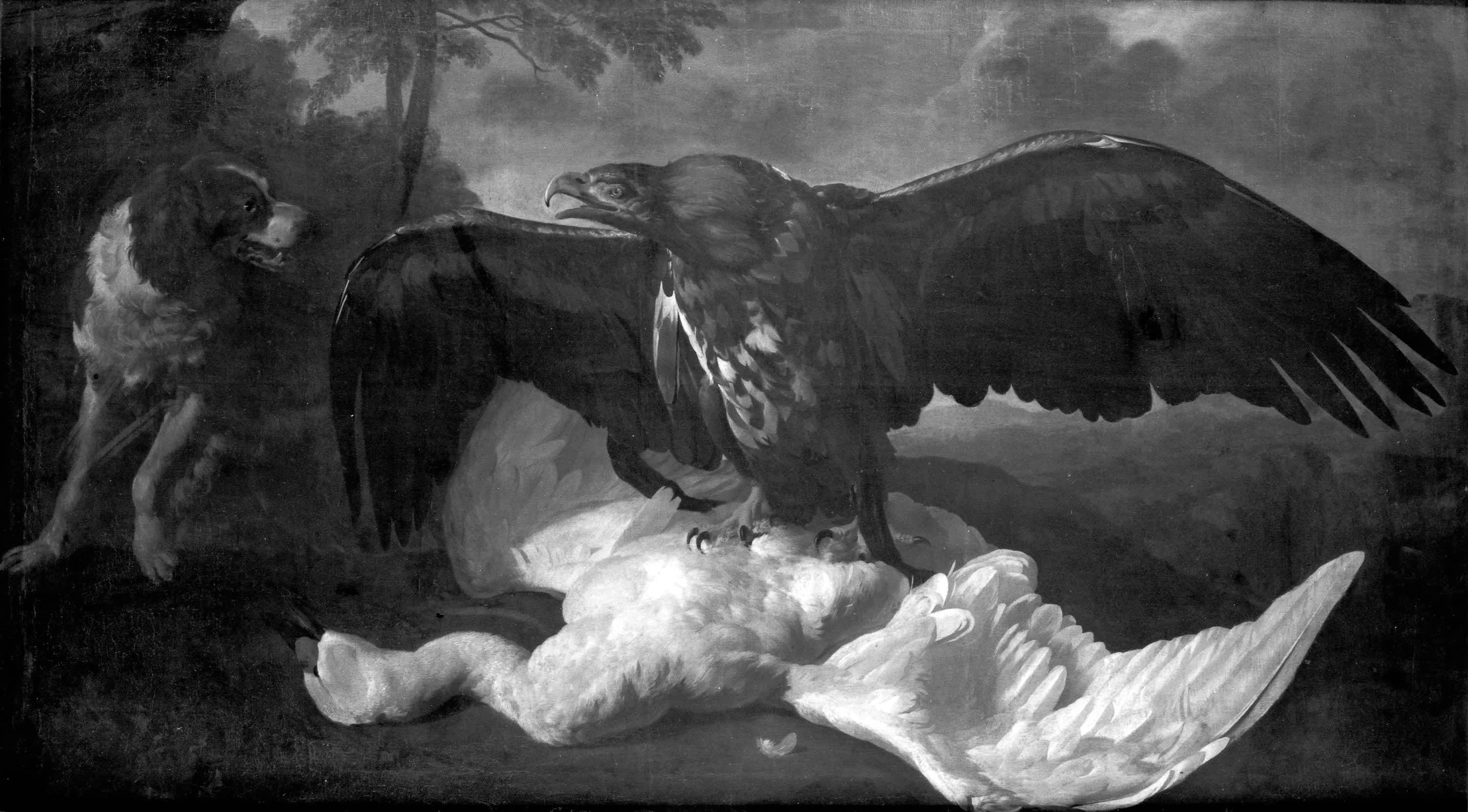 Stillleben mit Adler, Hund und totem Schwan