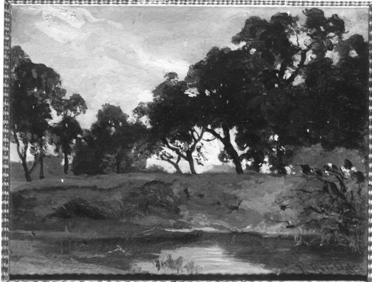 Buchenwäldchen bei Bruck