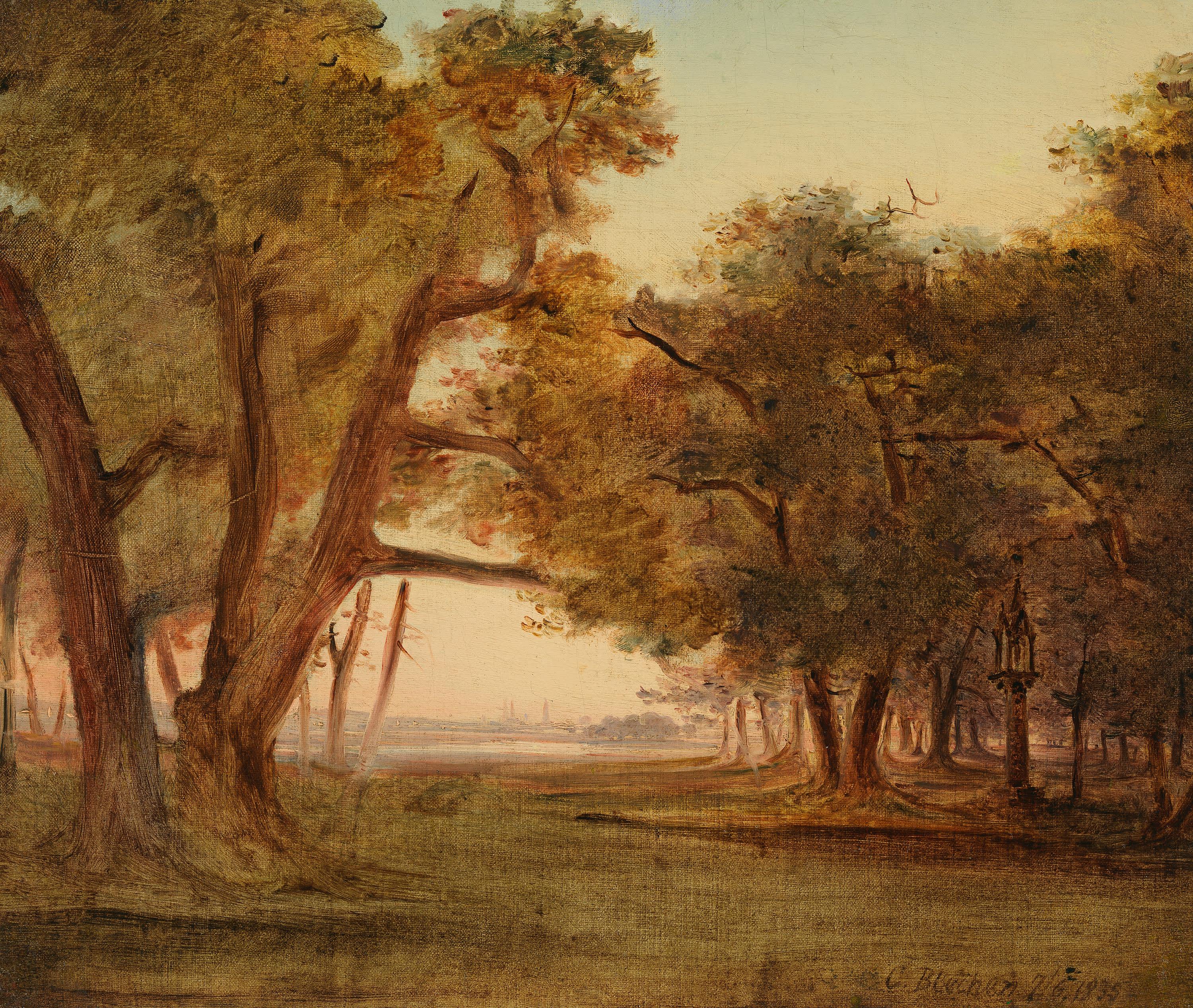 Waldlandschaft bei Morgenstimmung