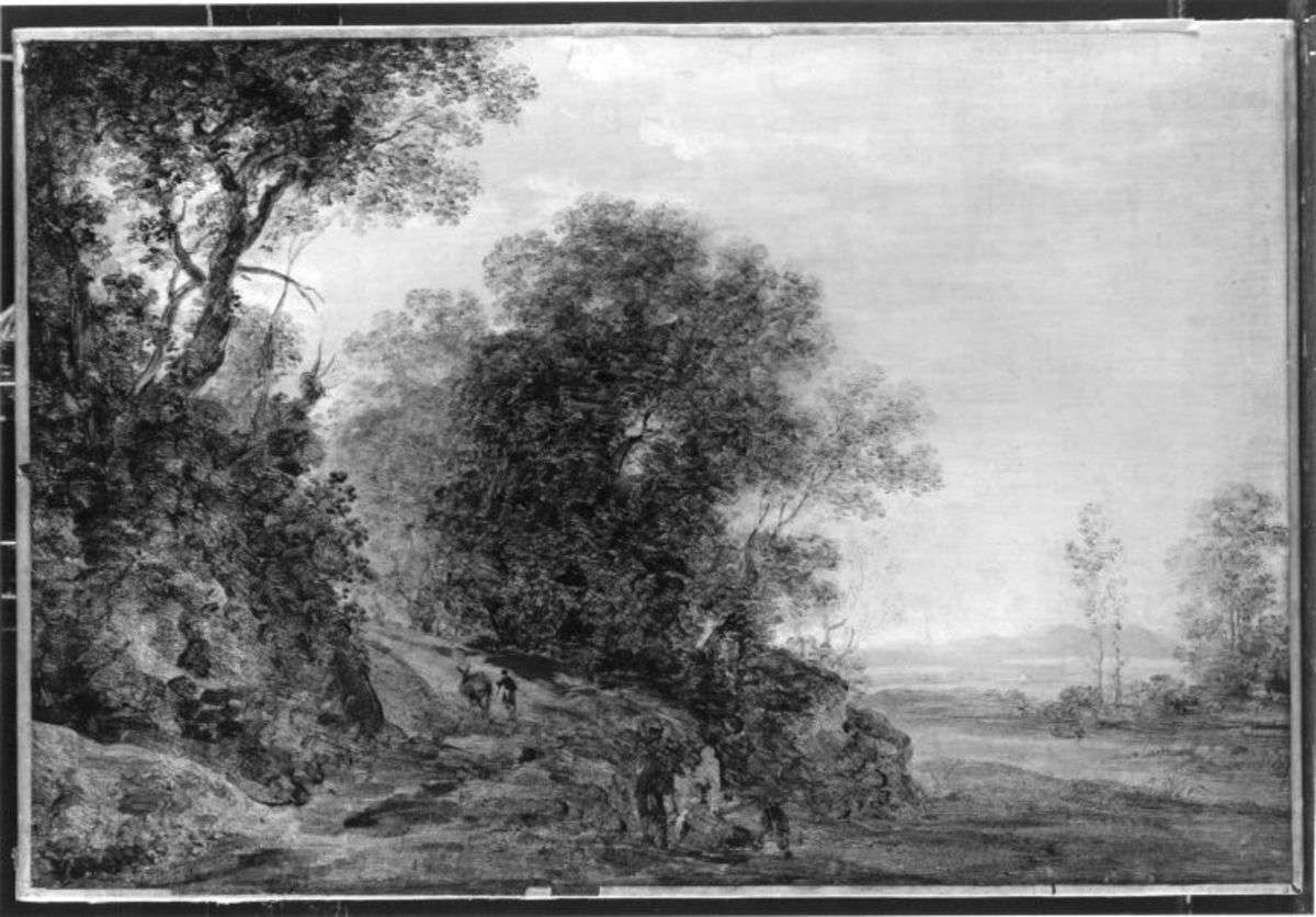 Wald- und Flusslandschaft