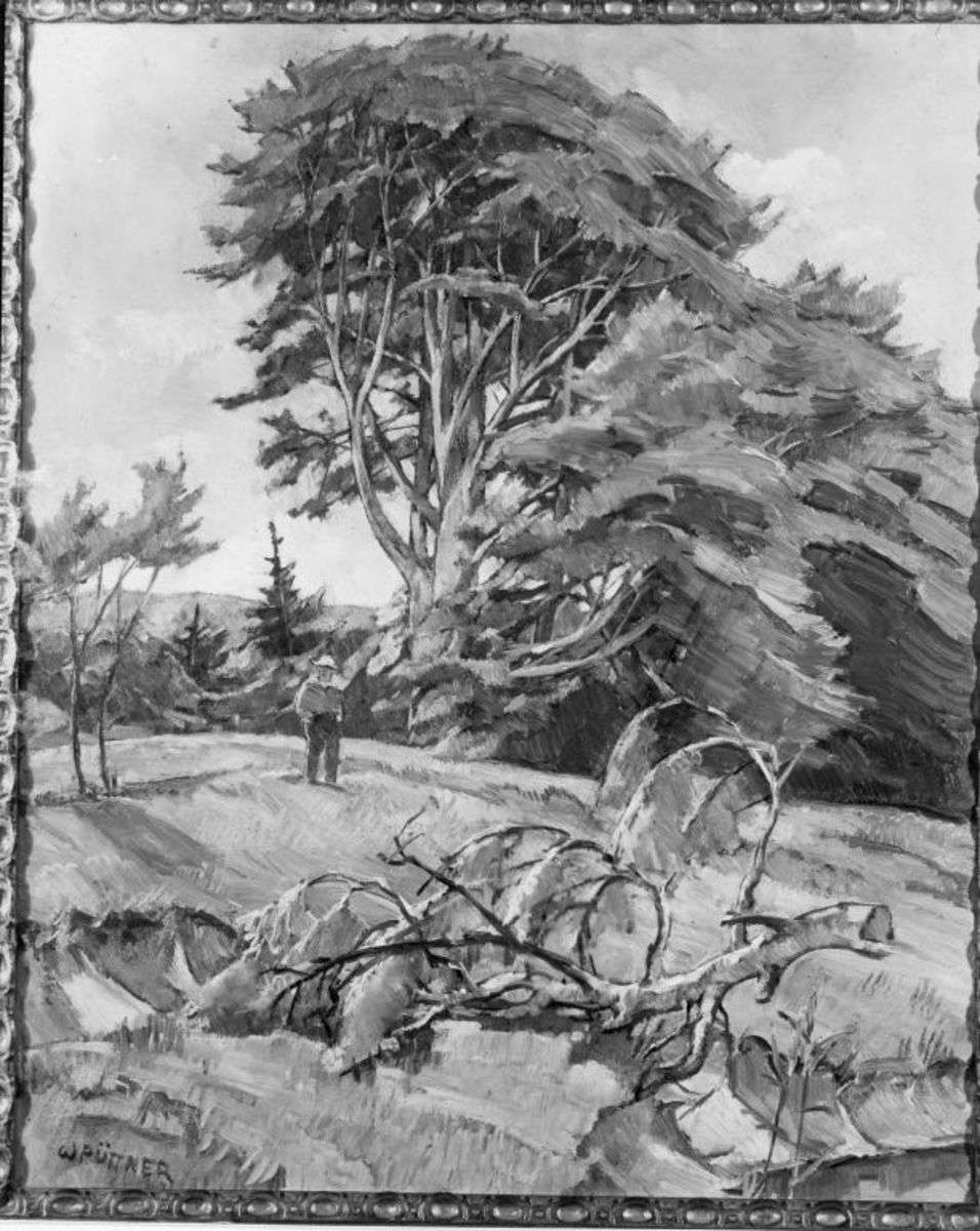 Landschaft mit Buche