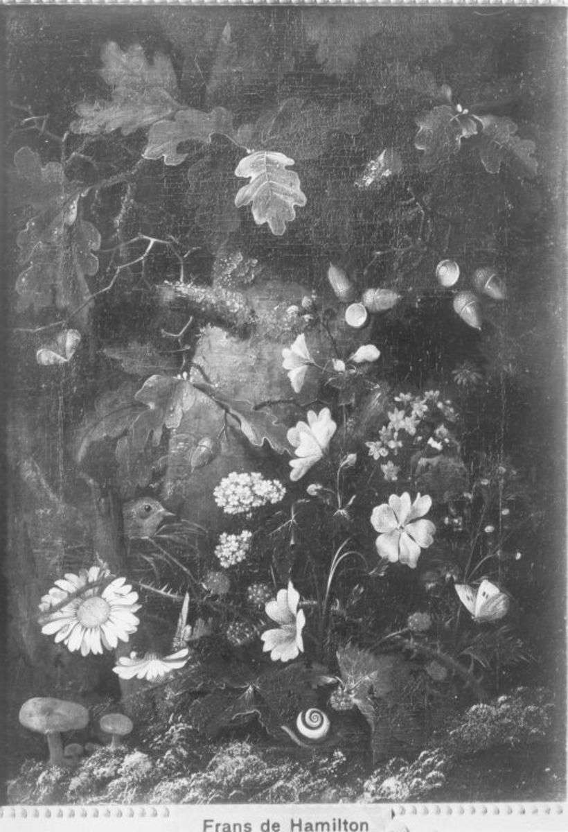 Stillleben: Pilze vor Eichenstamm