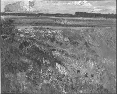 Wiesenblumen