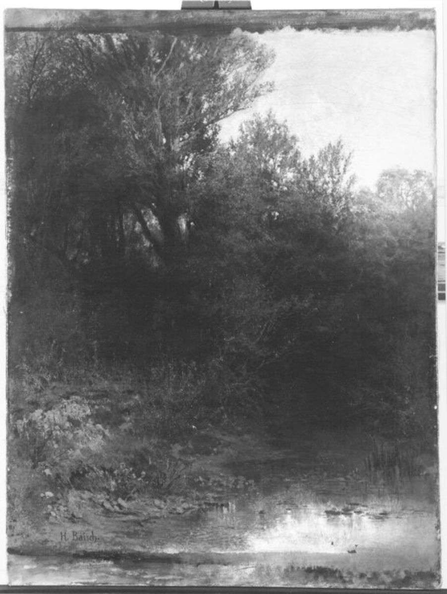 Bäume und Gesträuch an einem Altwasser