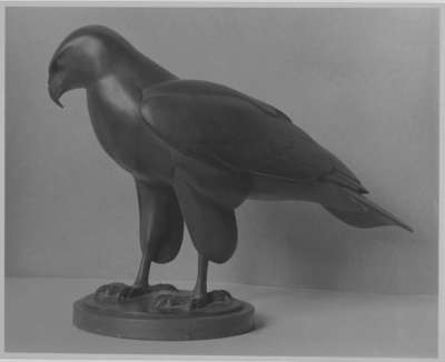 Bussard